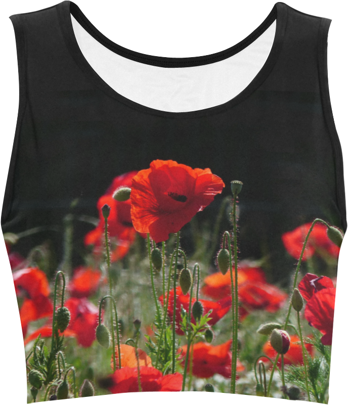 Poppy Print Crop Top PNG Image