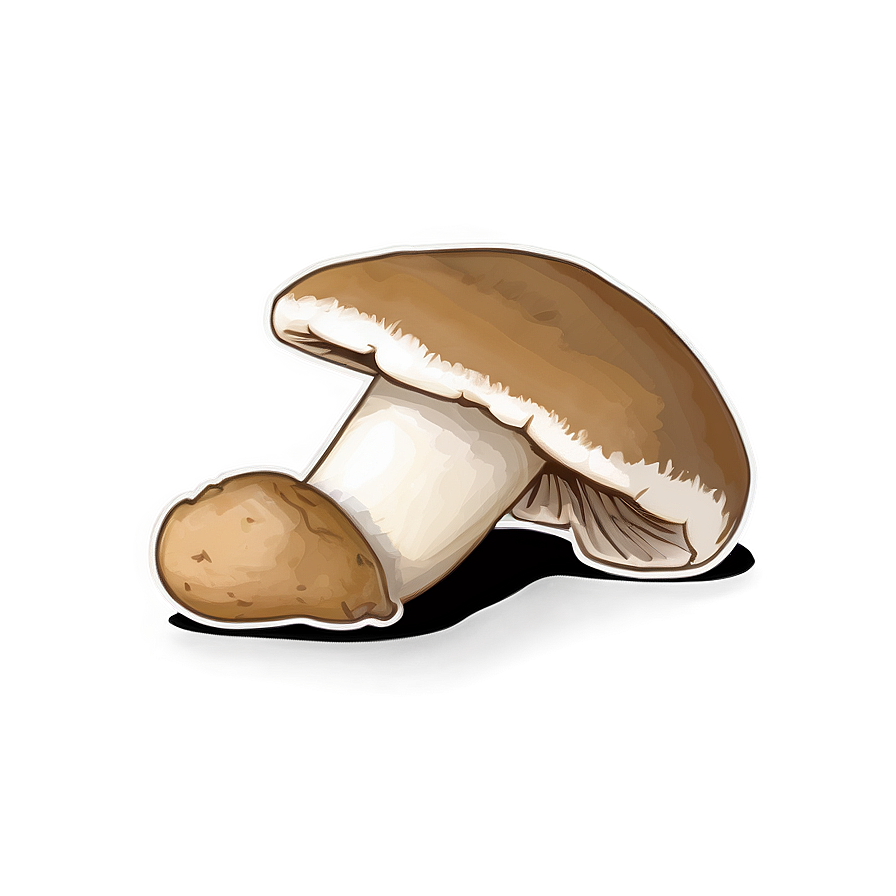 Porcini Mushrooms Png Cdi46 PNG Image