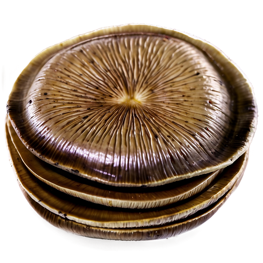 Portobello Mushrooms Png 05242024 PNG Image