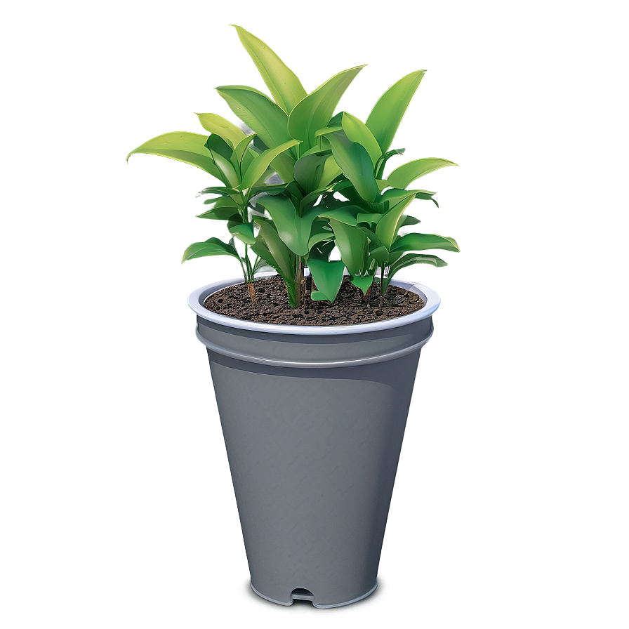 Potted Plant Drainage Solutions Png 31 PNG Image