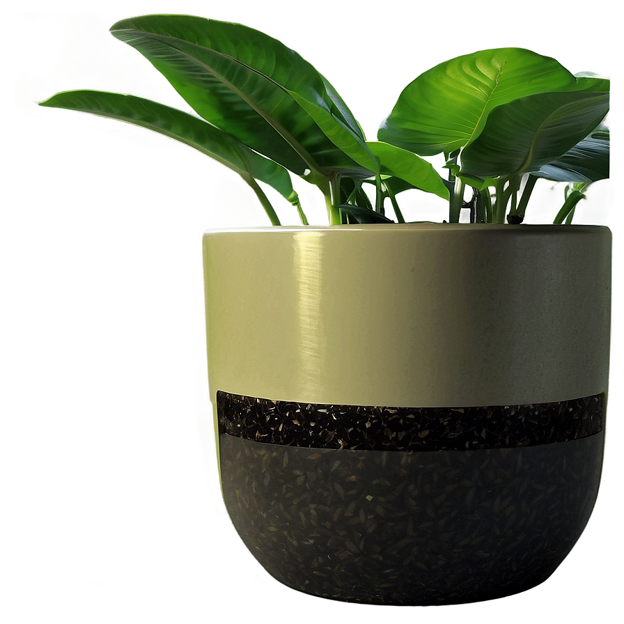 Potted Plant Fertilizers Png 06122024 PNG Image