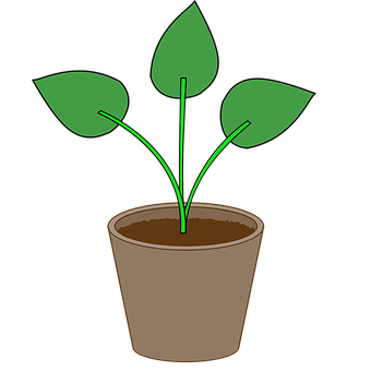 Potted Plant Illustration PNG Image