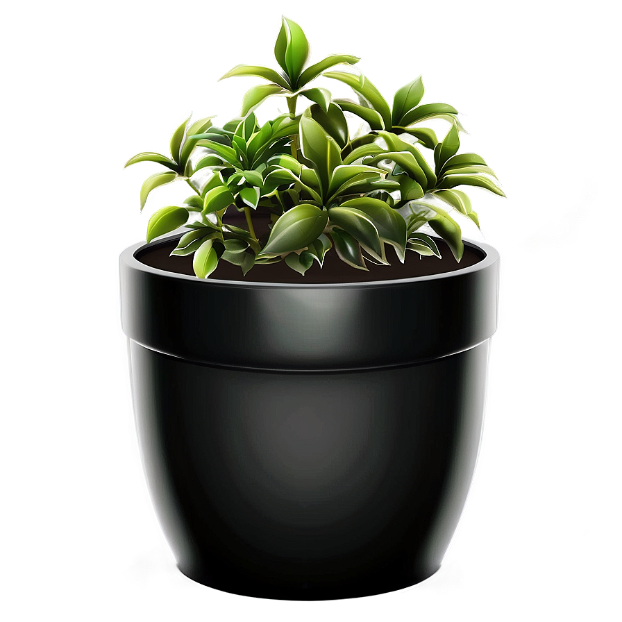 Potted Plant Png Jks41 PNG Image