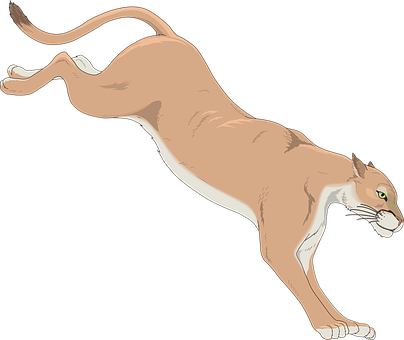 Pouncing Cougar Illustration PNG Image