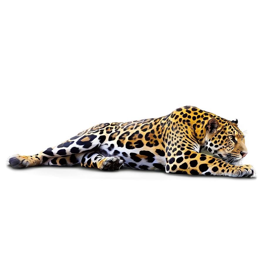 Powerful Jaguar Png Pyo67 PNG Image