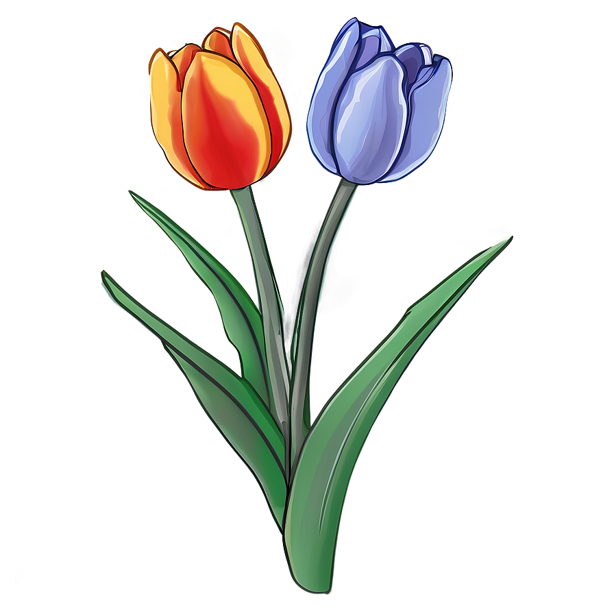 Pretty Tulip Sketch Png Oxa PNG Image