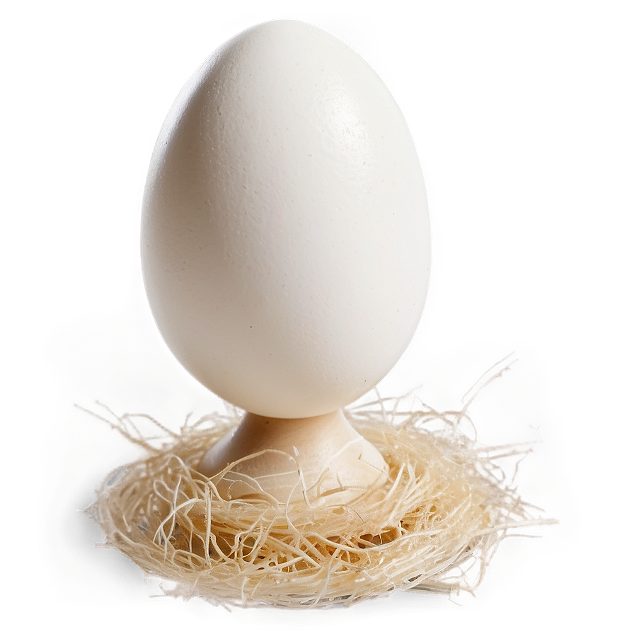 Pristine Condition White Egg Png Eoi47 PNG Image