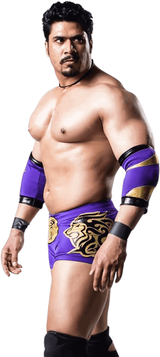 Pro Wrestler In Purple Attire PNG Image