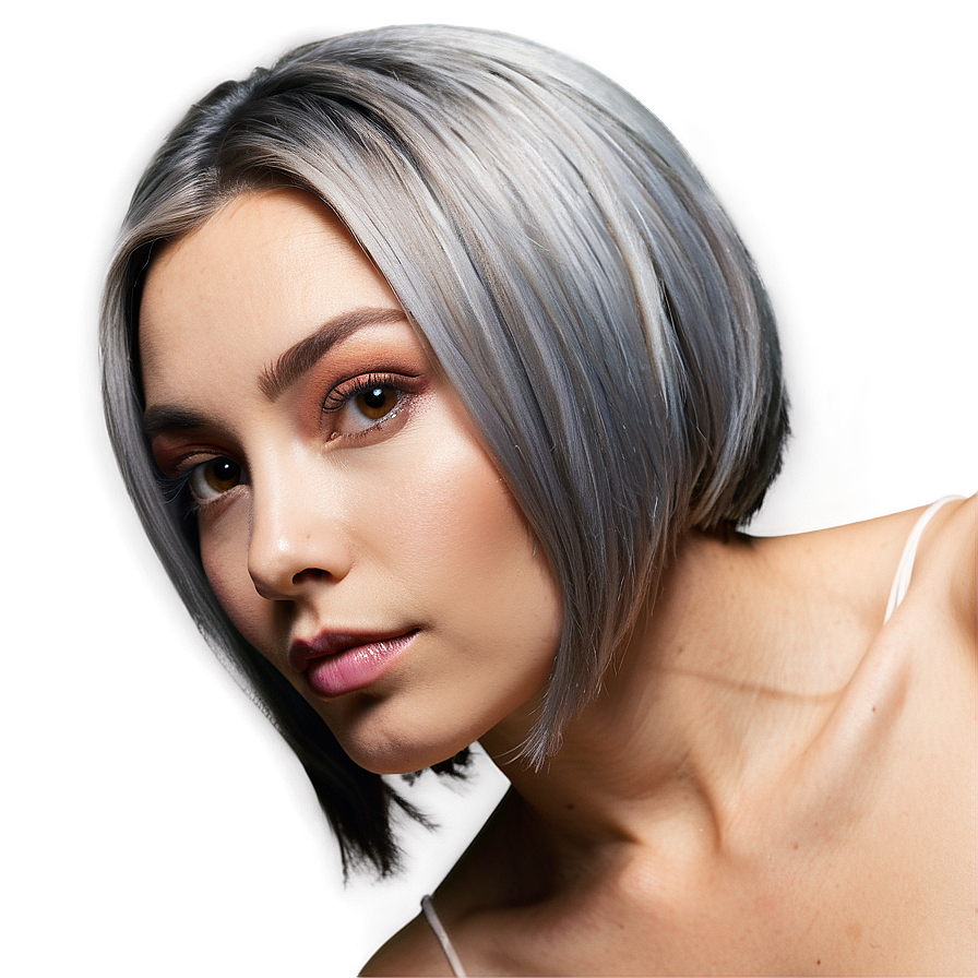 Professional Grey Hairstyles Png Emf4 PNG Image