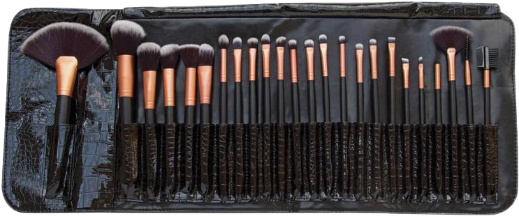 Professional Makeup Brush Set PNG Image