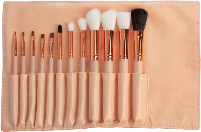 Professional Makeup Brush Set PNG Image