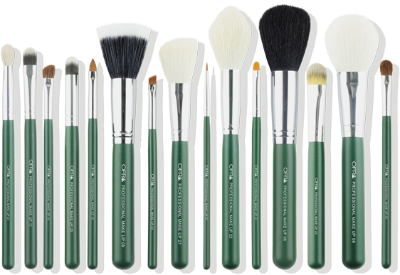 Professional Makeup Brush Set PNG Image