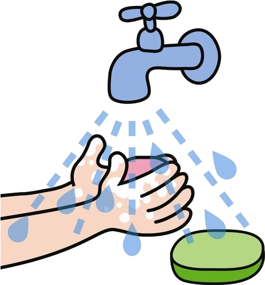 Proper Hand Washing Technique PNG Image