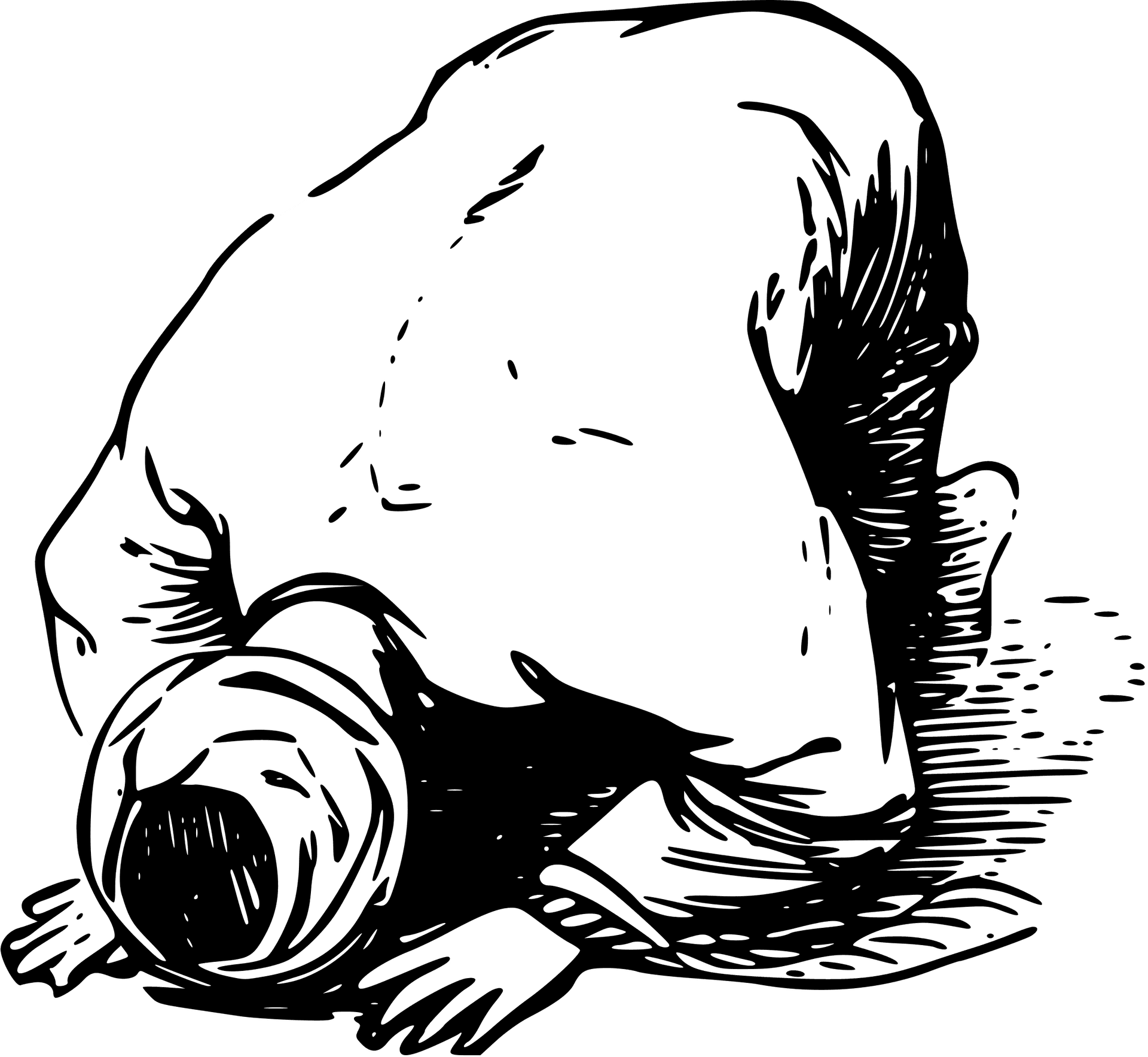 Prostration_in_ Prayer_ Illustration PNG Image