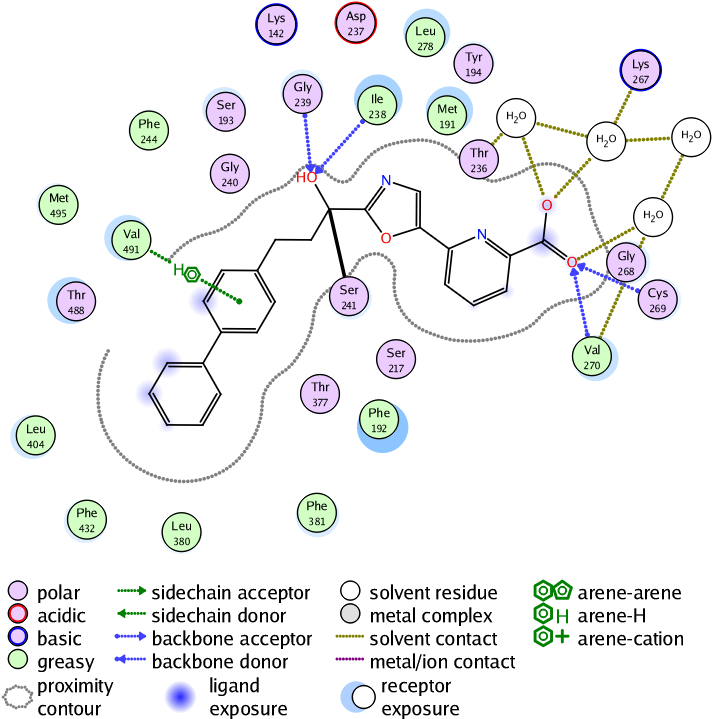 Protein Ligand Interaction Map PNG Image