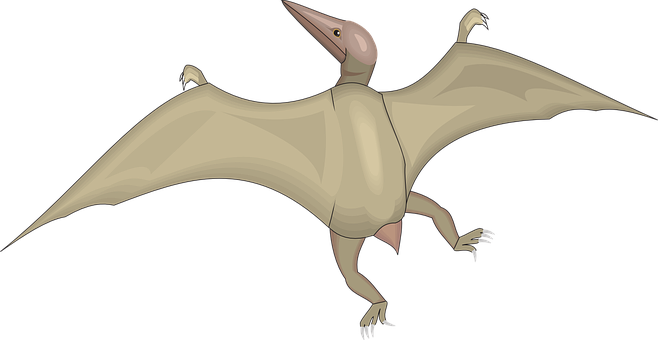 Pterosaur Illustration PNG Image