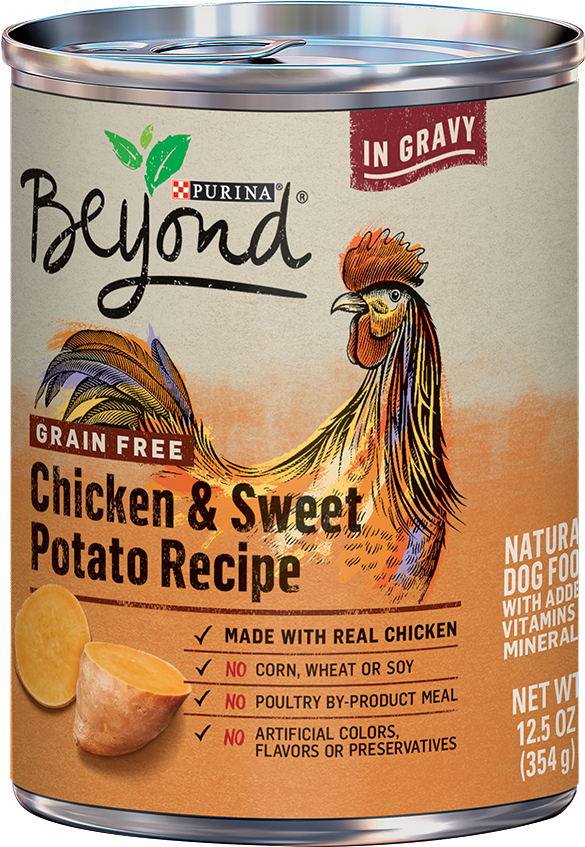 Purina Beyond Grain Free Chicken Sweet Potato Dog Food Can PNG Image