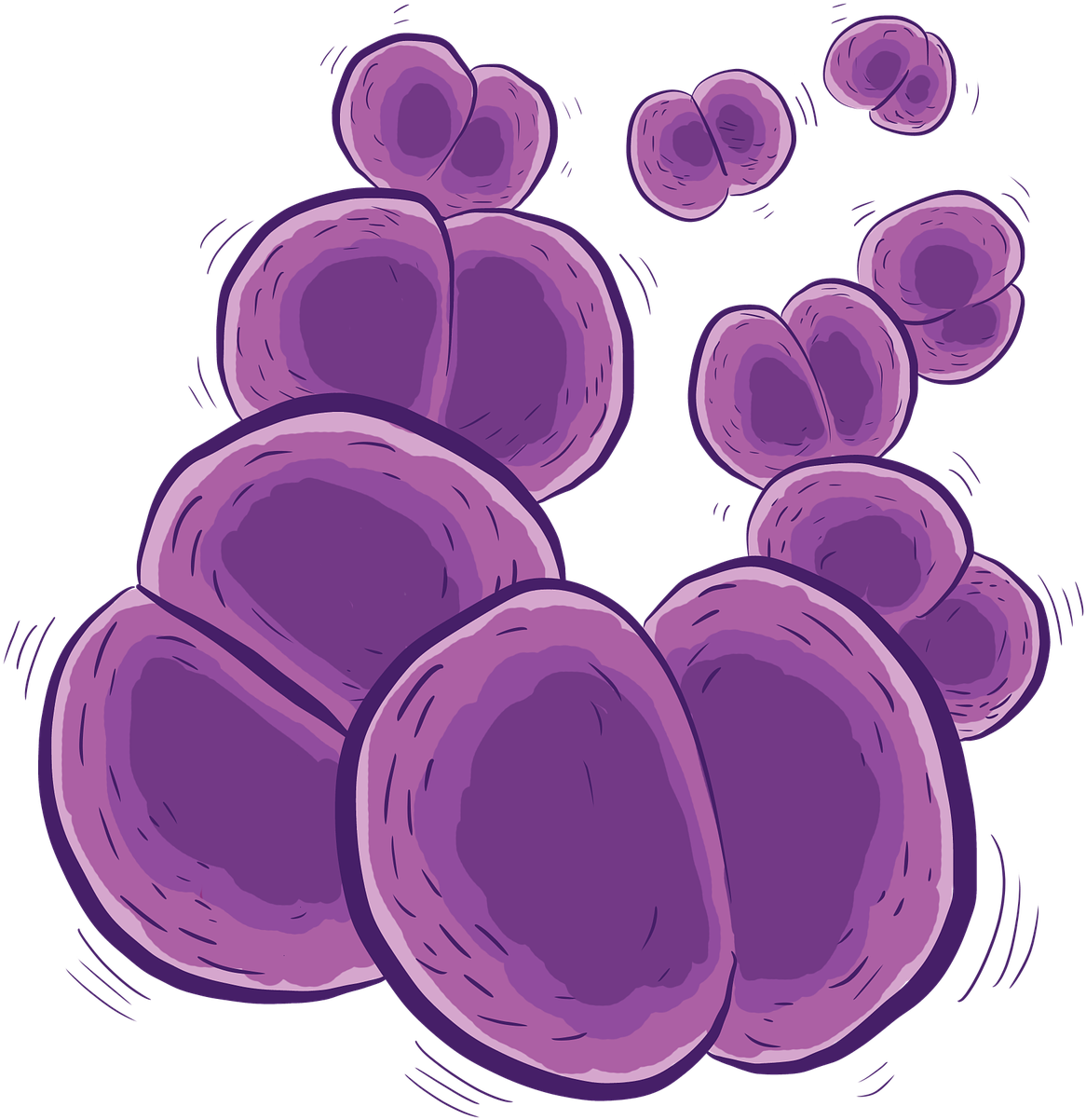 Purple Bacteria Cluster Illustration PNG Image