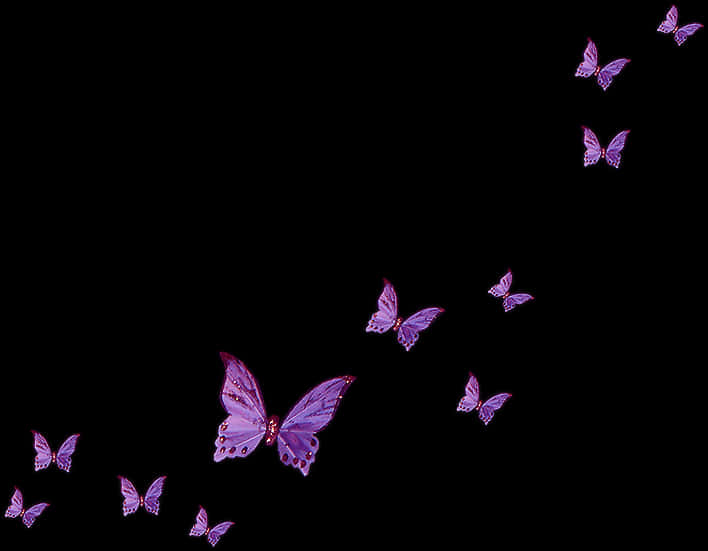 Purple Butterflies Transparent Background PNG Image