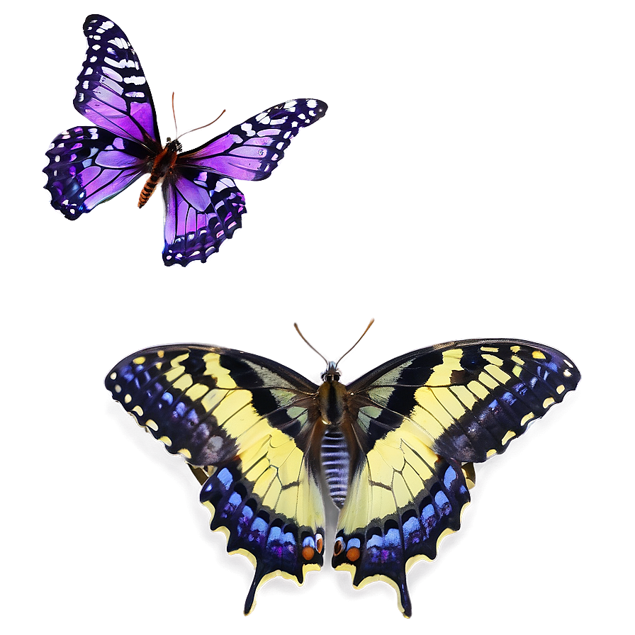 Purple Butterfly In Flight Png Jag PNG Image