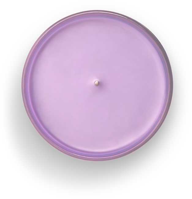 Purple Circle Objecton Dark Background PNG Image