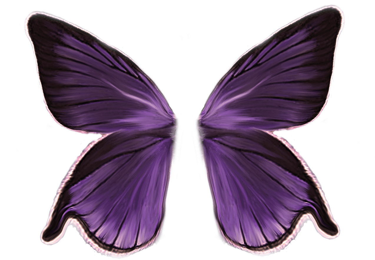 Purple Fairy Wings Illustration PNG Image