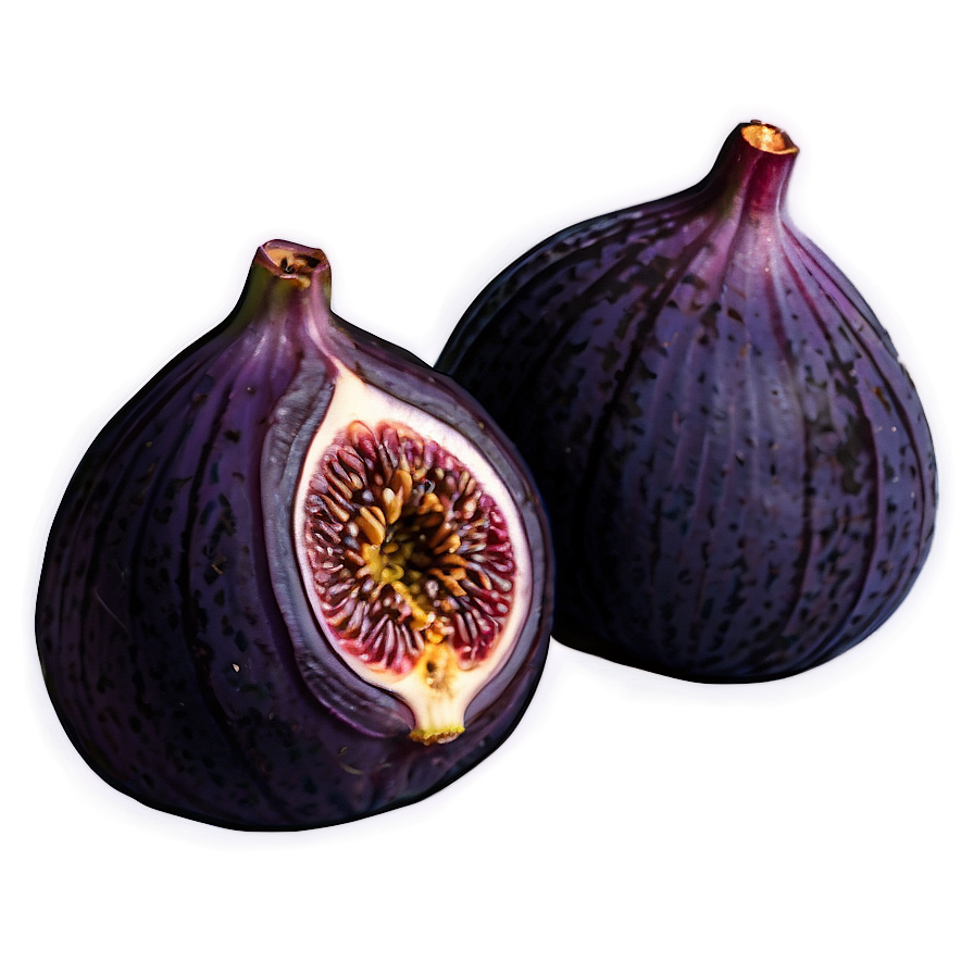 Purple Fig Drawing Png 42 PNG Image