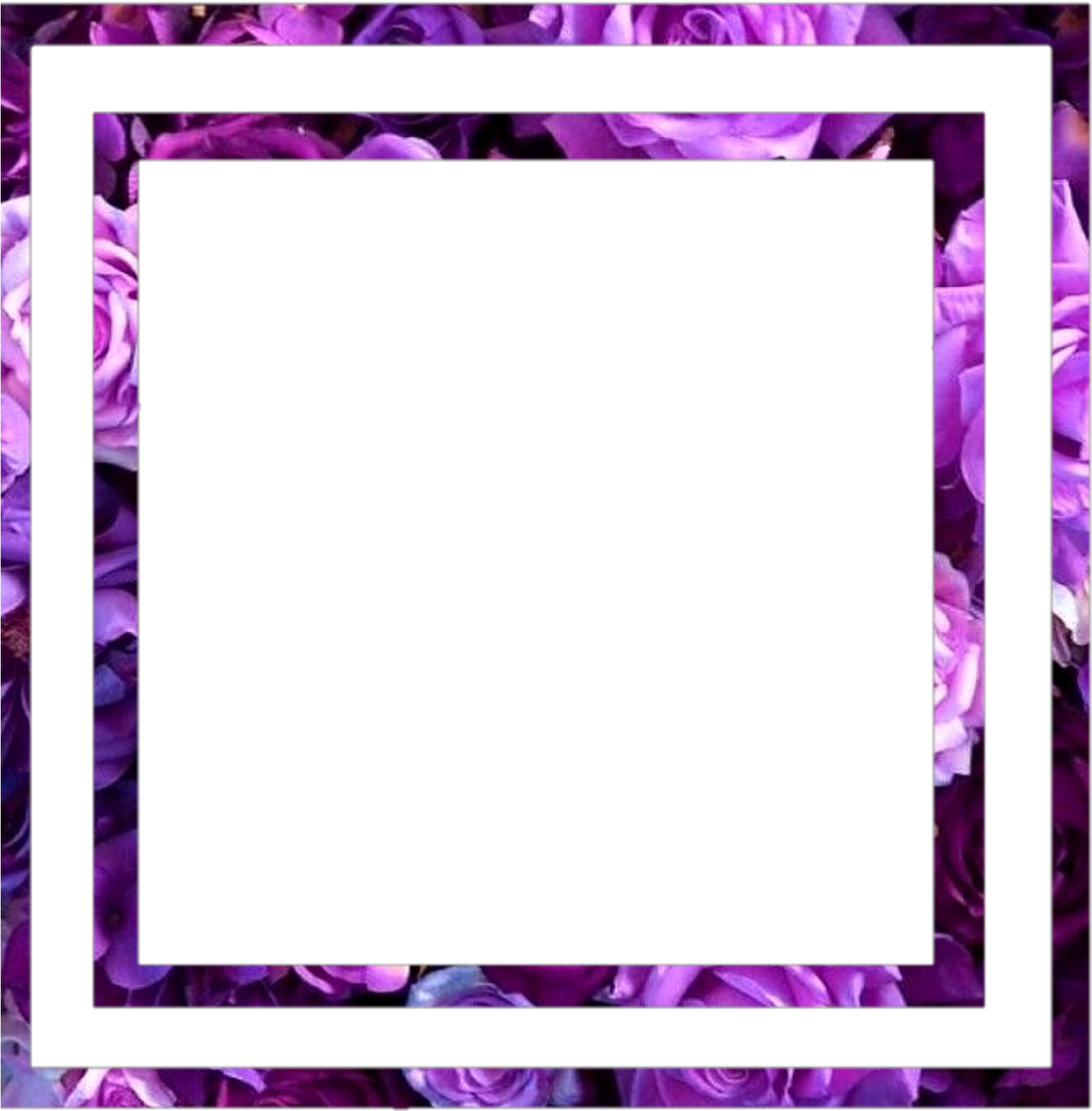 Purple Floral Frame Template PNG Image