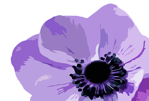 Purple Flower Illustration PNG Image