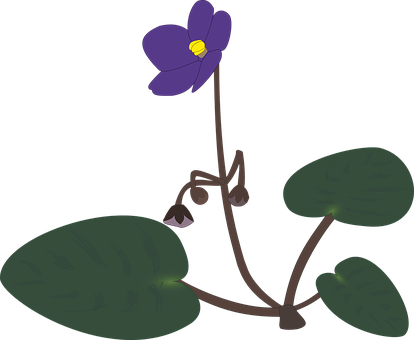 Purple Flower Illustration PNG Image