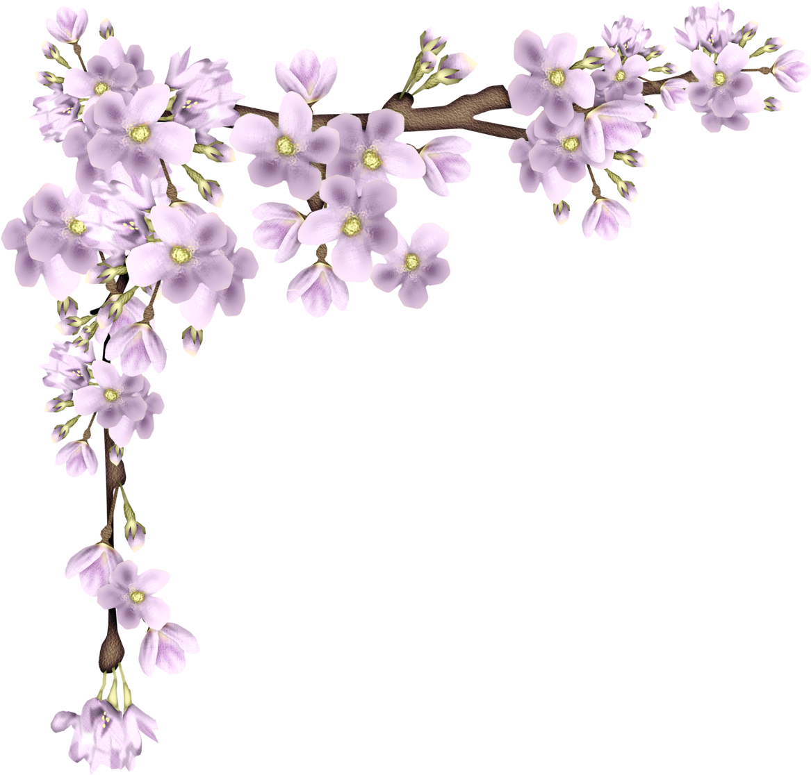 Purple Flowering Branch Graphic PNG Image