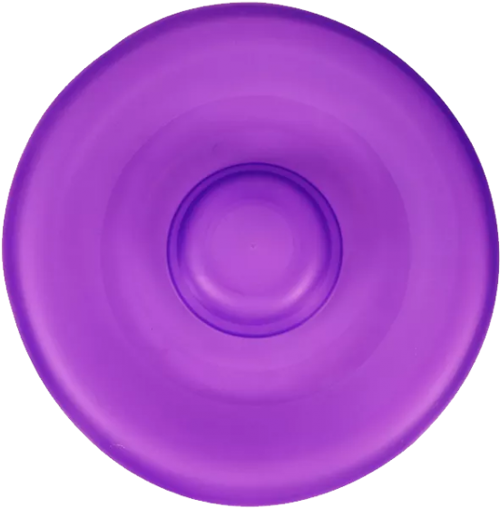 Purple Frisbee Top View PNG Image