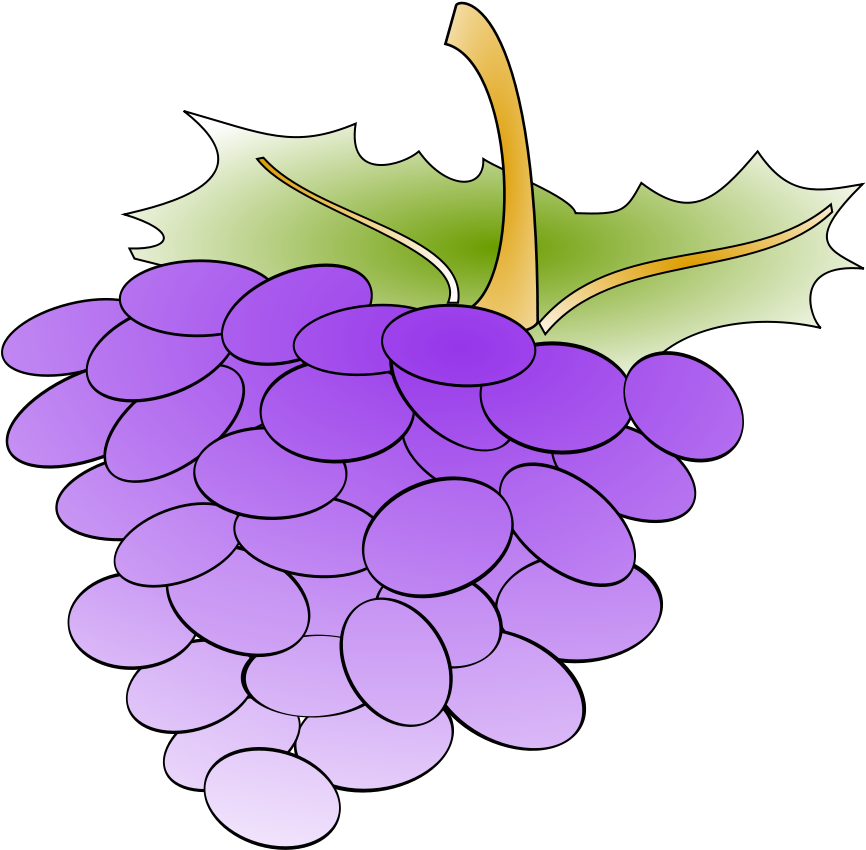 Purple Grape Cluster Cartoon Illustration PNG Image