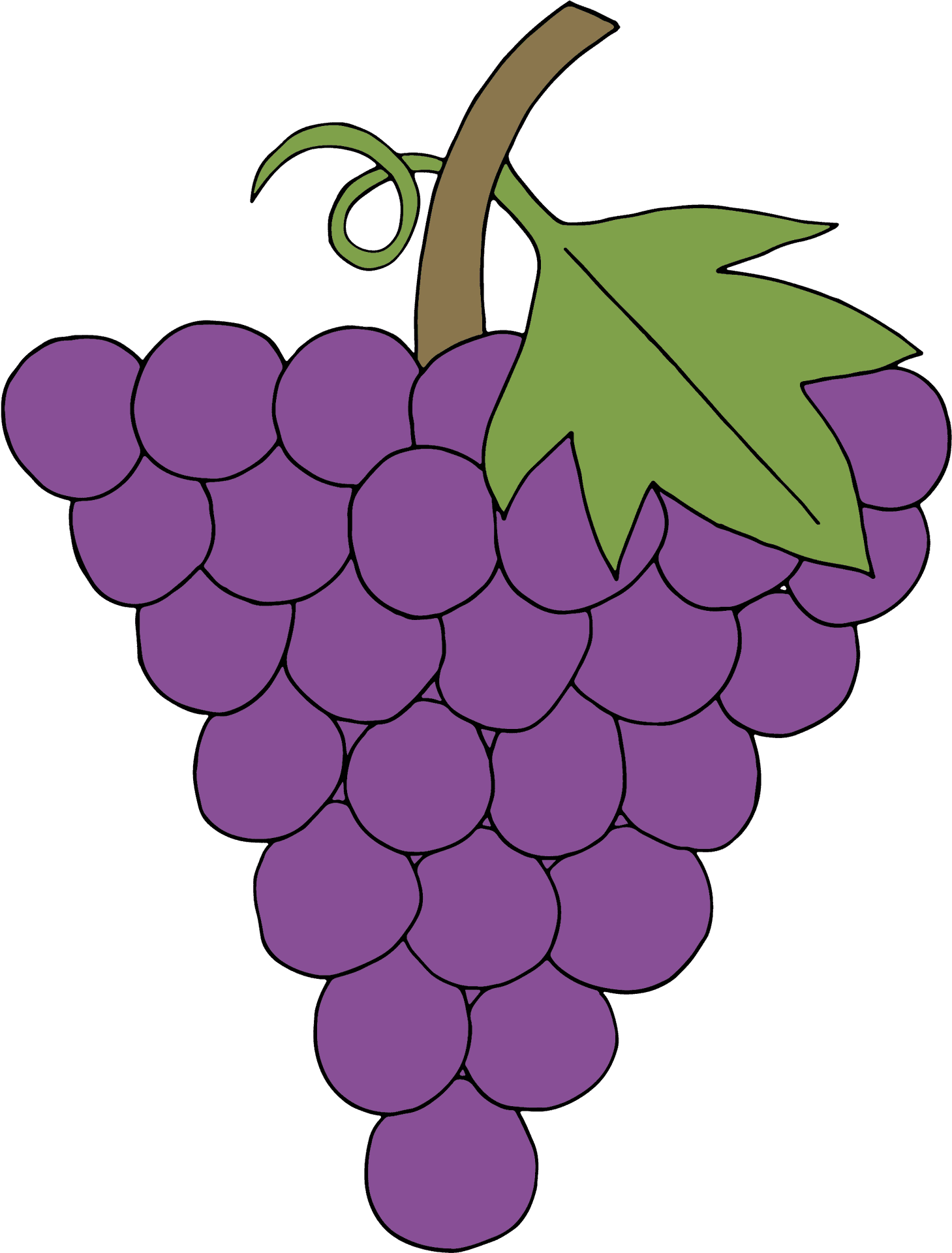 Purple Grape Cluster Illustration PNG Image