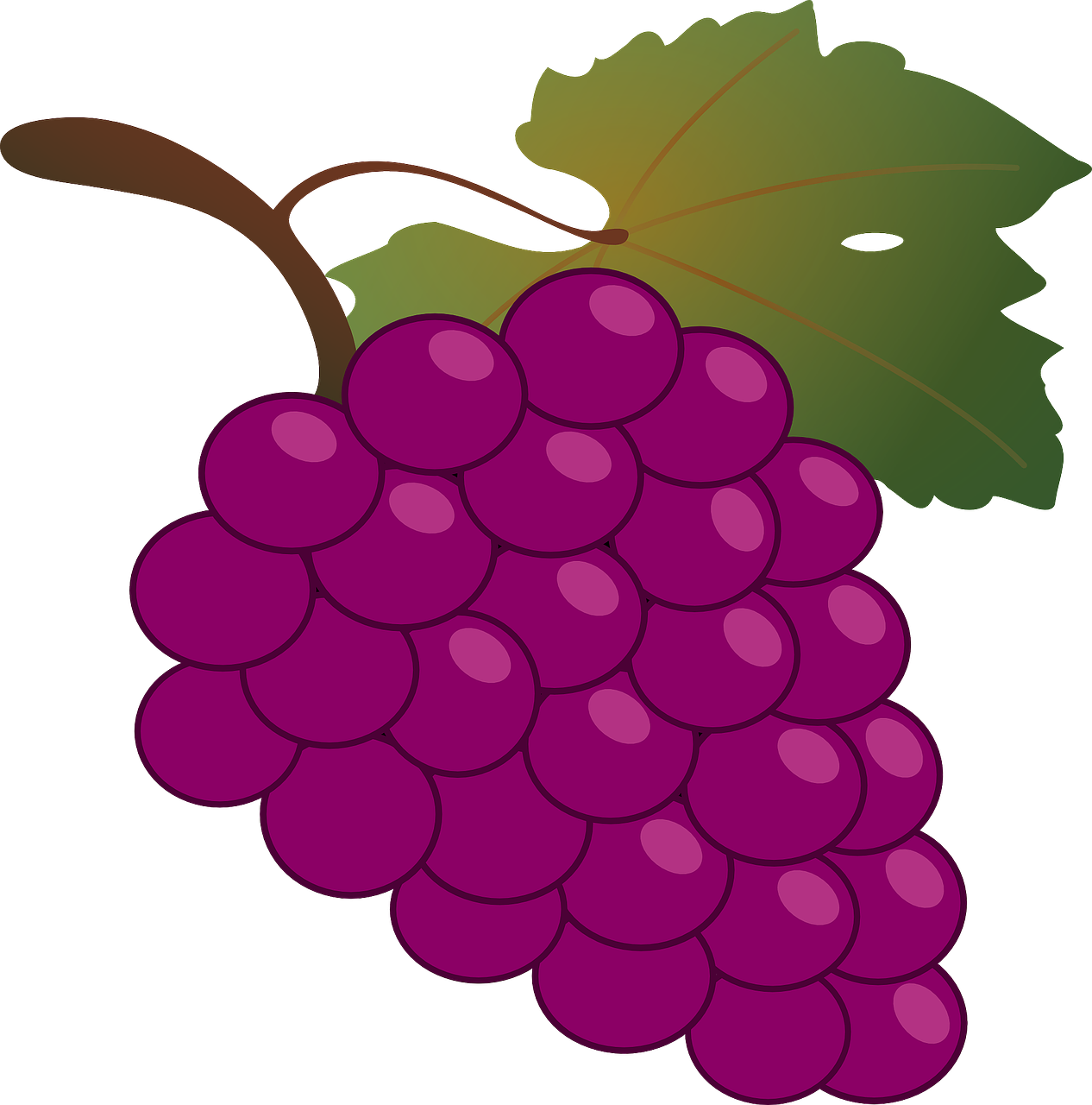 Purple Grape Cluster Illustration PNG Image