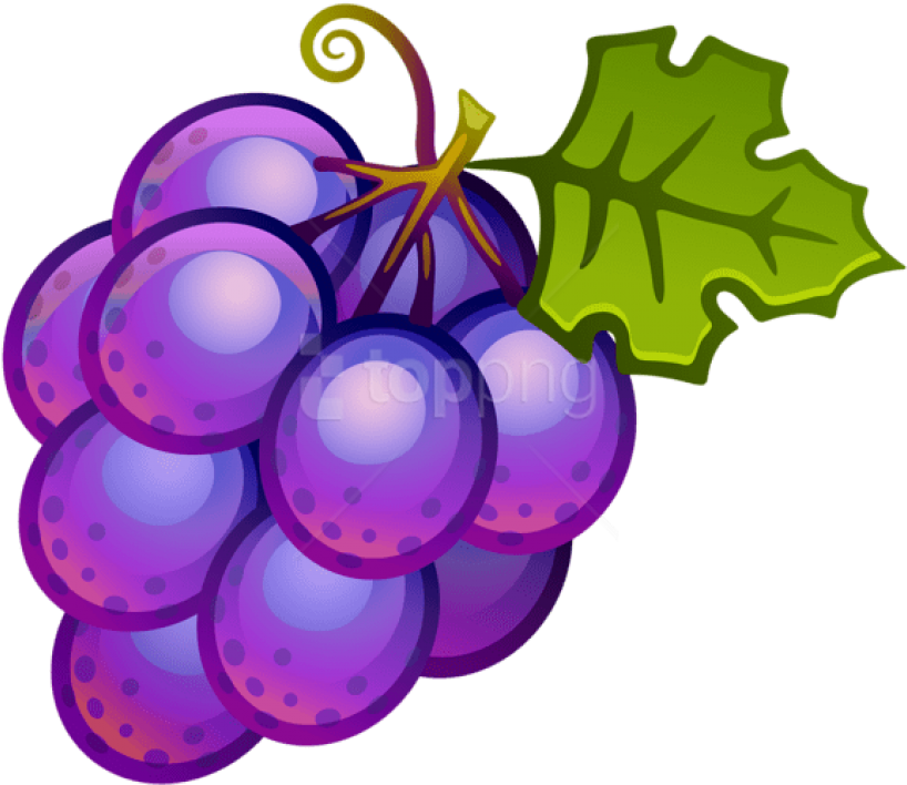 Purple Grapes Cartoon Illustration PNG Image