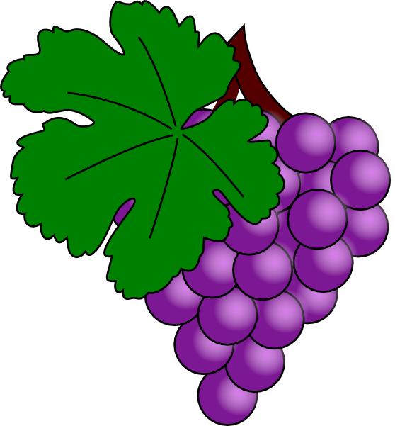 Purple Grapes Cluster Illustration PNG Image