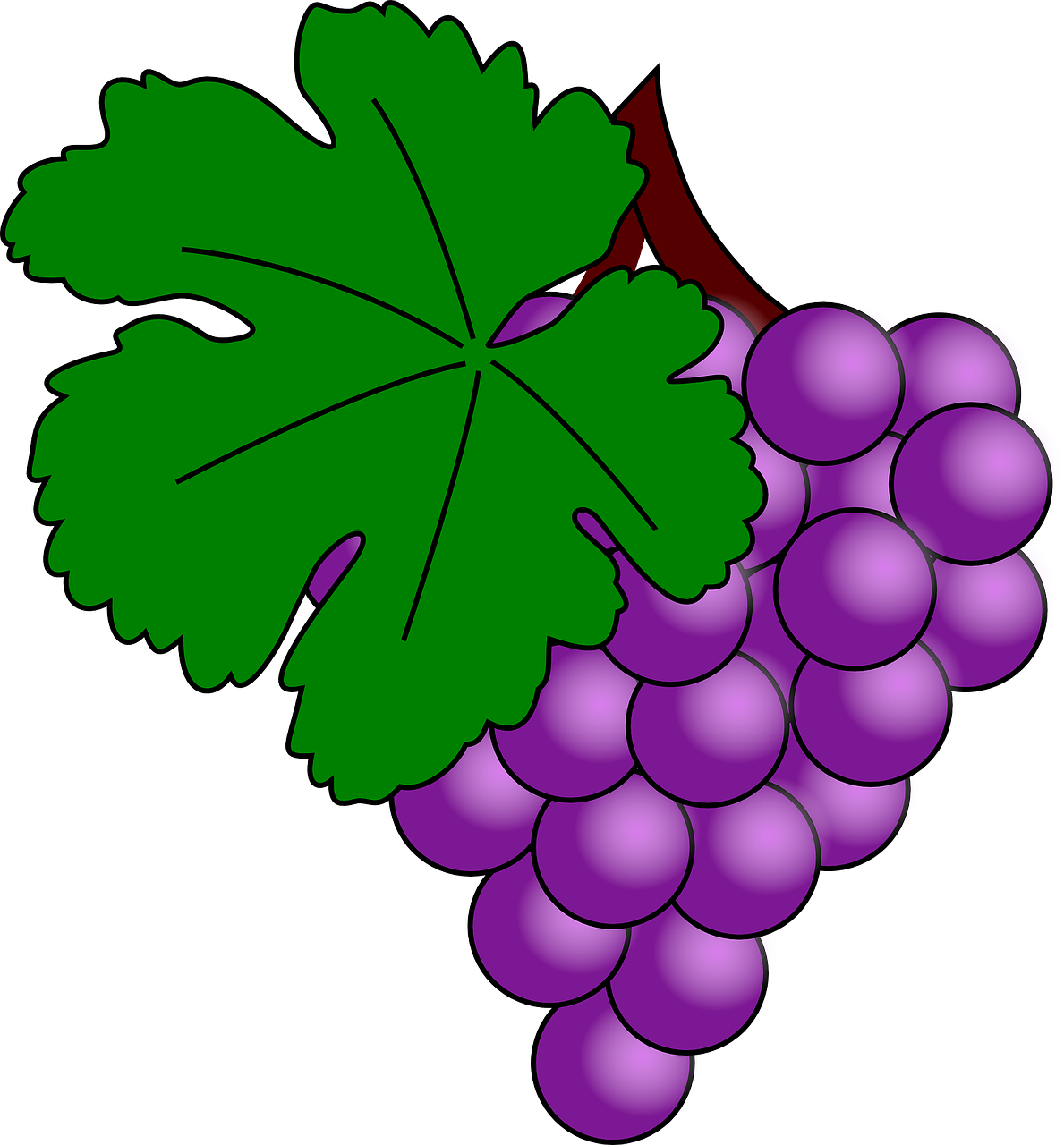 Purple Grapes Cluster Illustration PNG Image