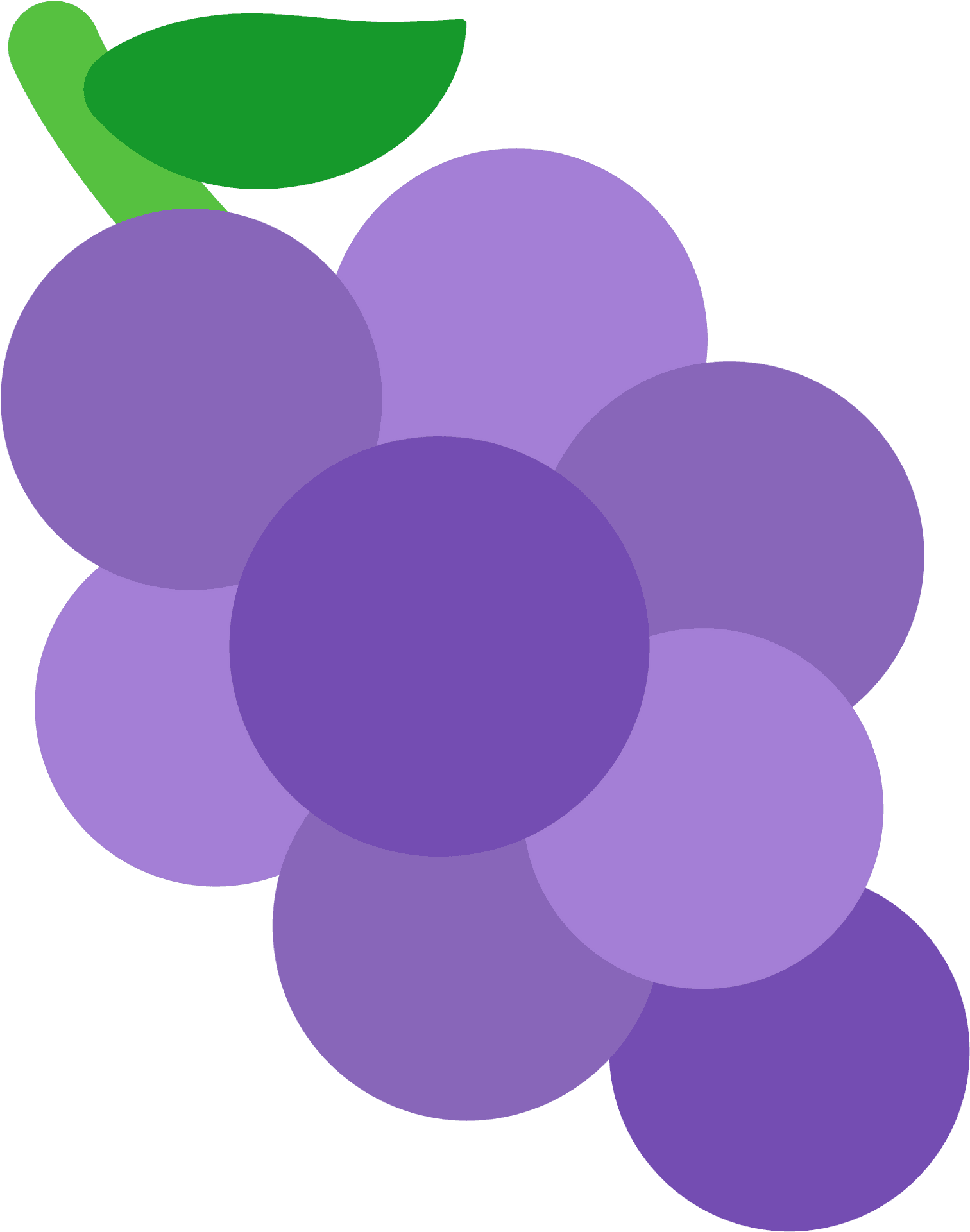 Purple Grapes Vector Illustration PNG Image