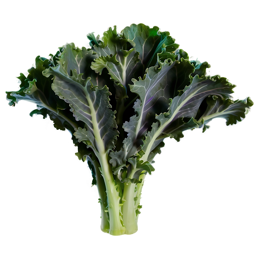 Purple Kale Png 3 PNG Image