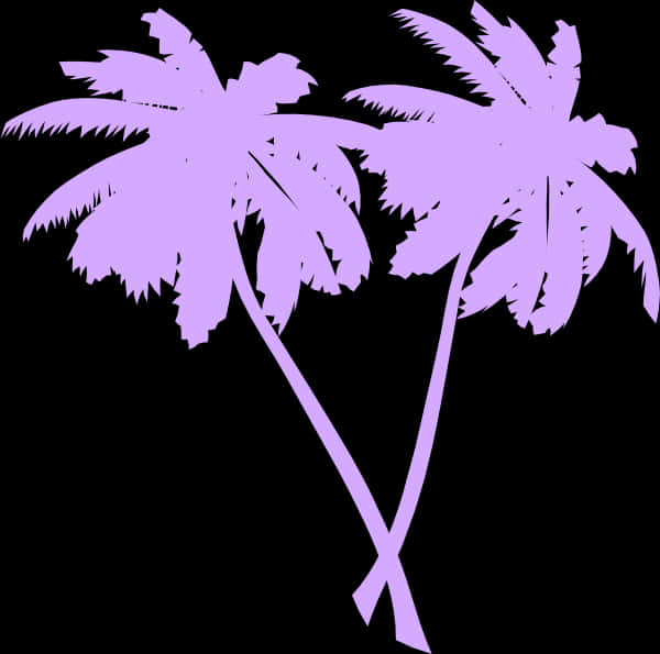 Purple Palm Silhouetteson Black PNG Image