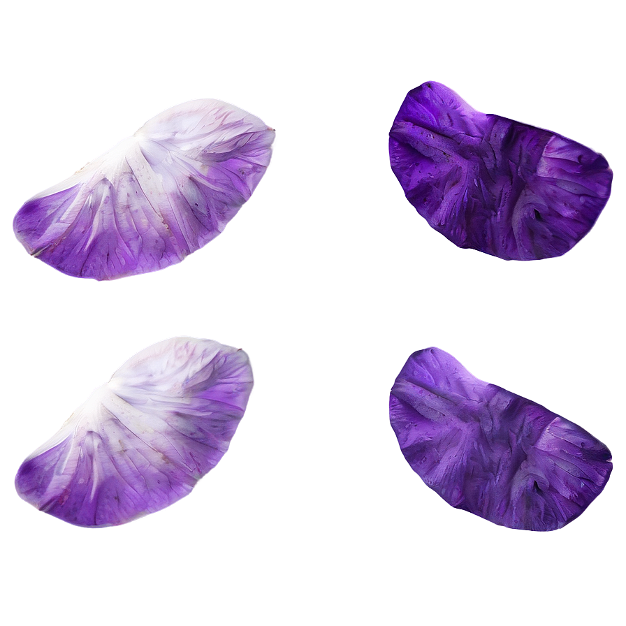 Purple Rose Petals Png Adr78 PNG Image