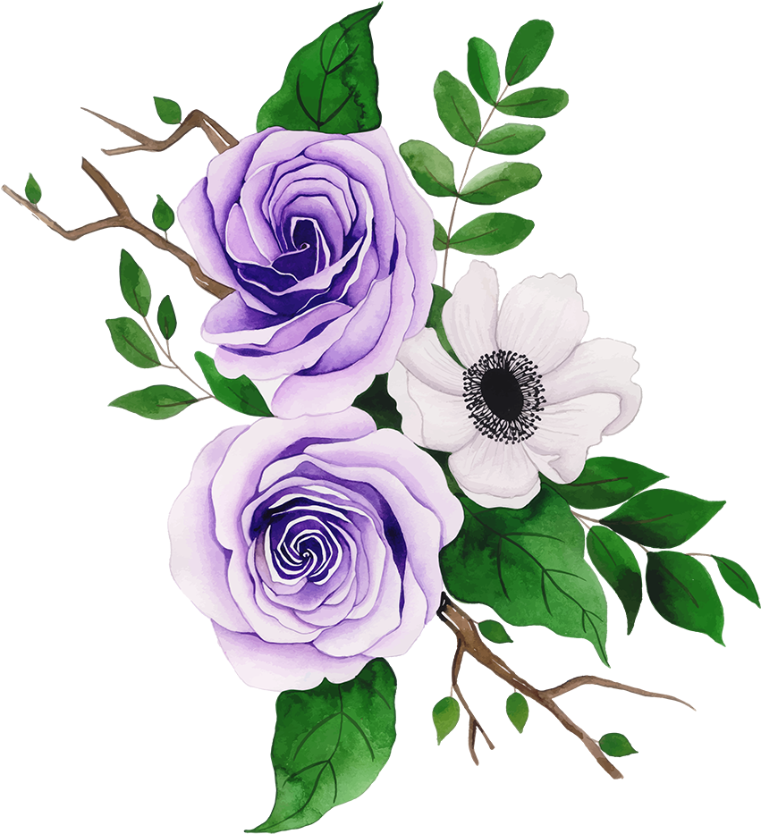 Purple Rosesand White Anemone Vector PNG Image