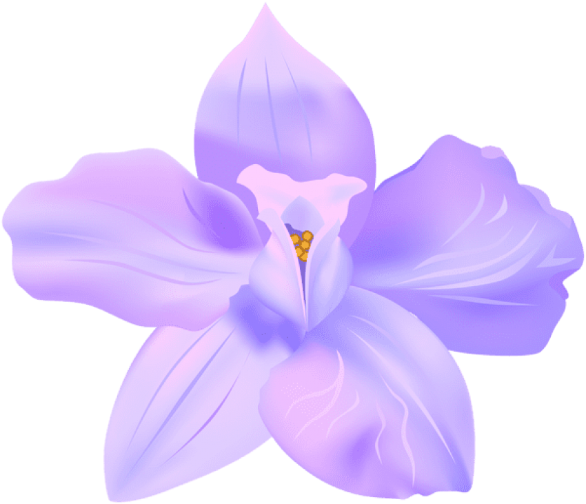 Purple Spring Flower Illustration PNG Image