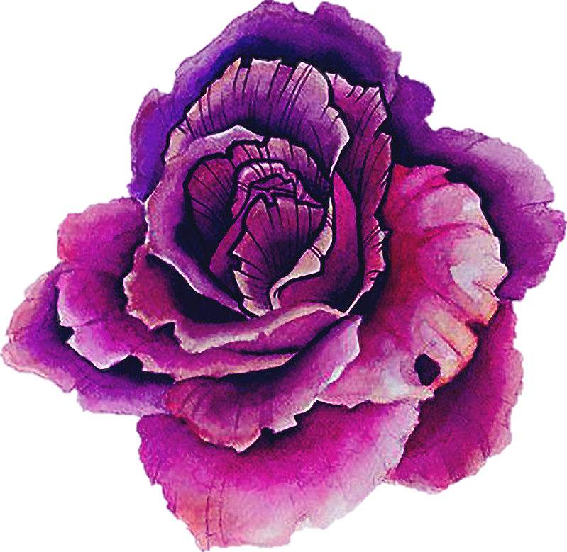 Purple Watercolor Rose Artwork PNG Image