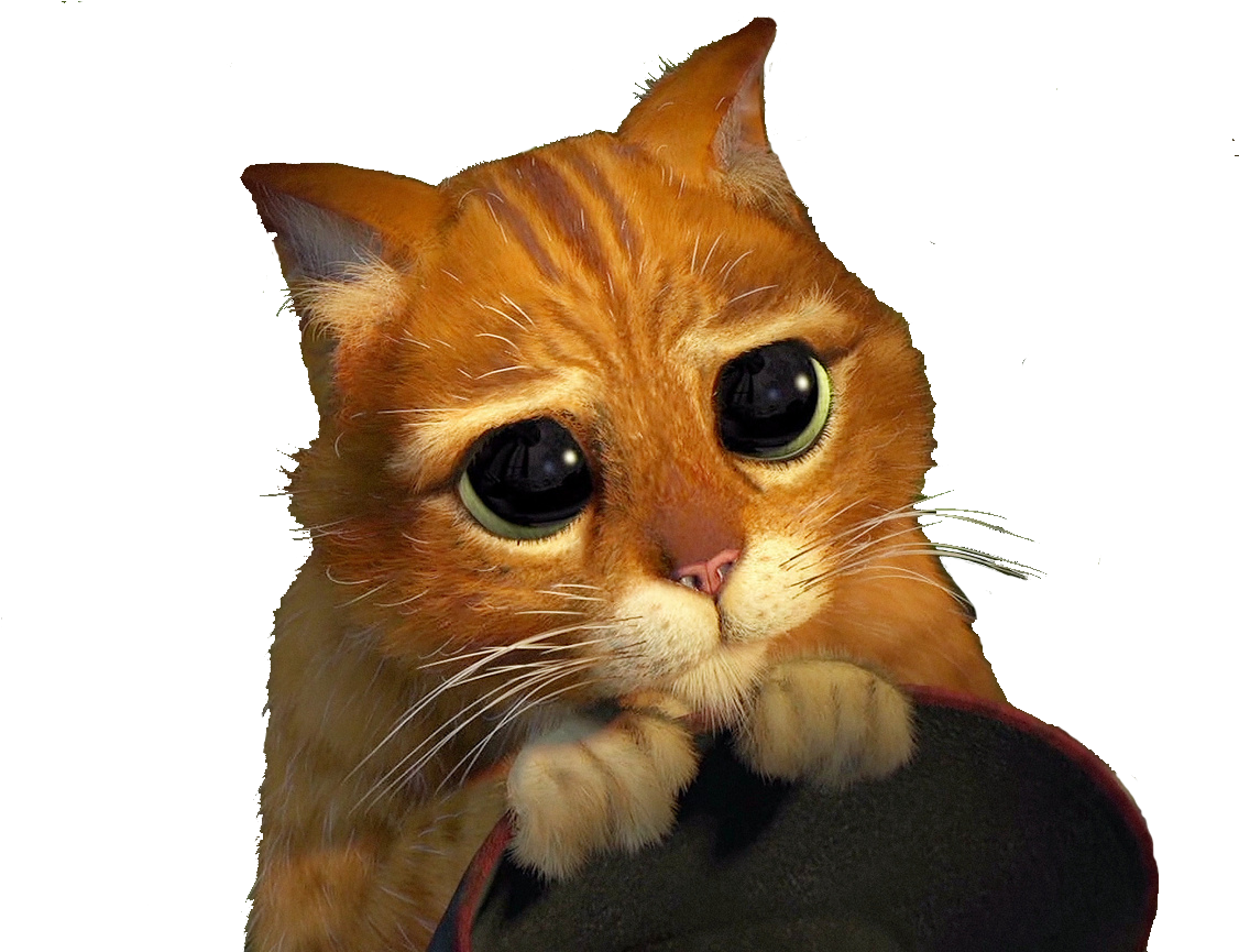 Puss In Boots Cute Expression PNG Image