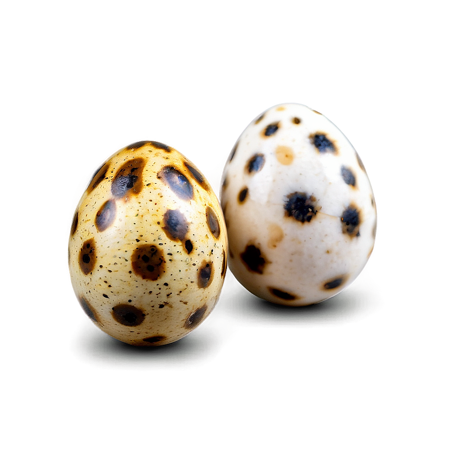 Quail Egg Png Vbb PNG Image