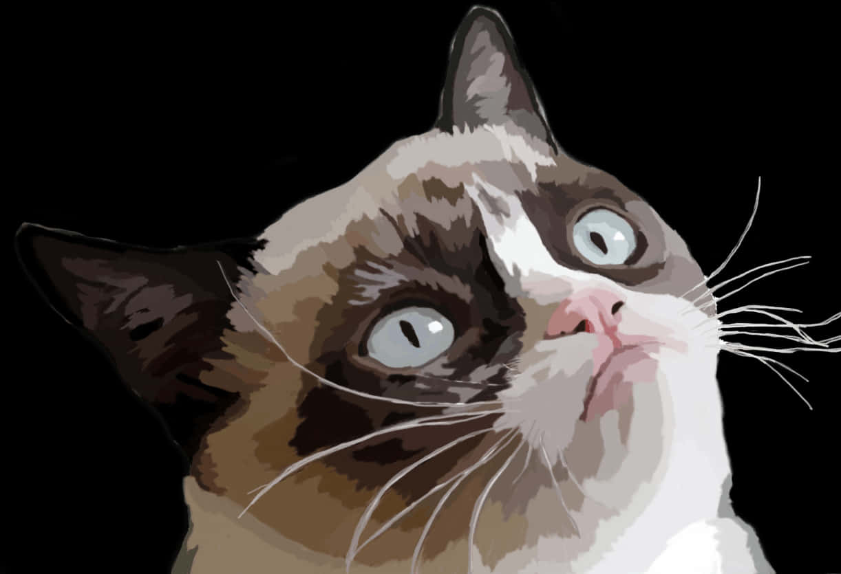 Quizzical Brown White Cat PNG Image