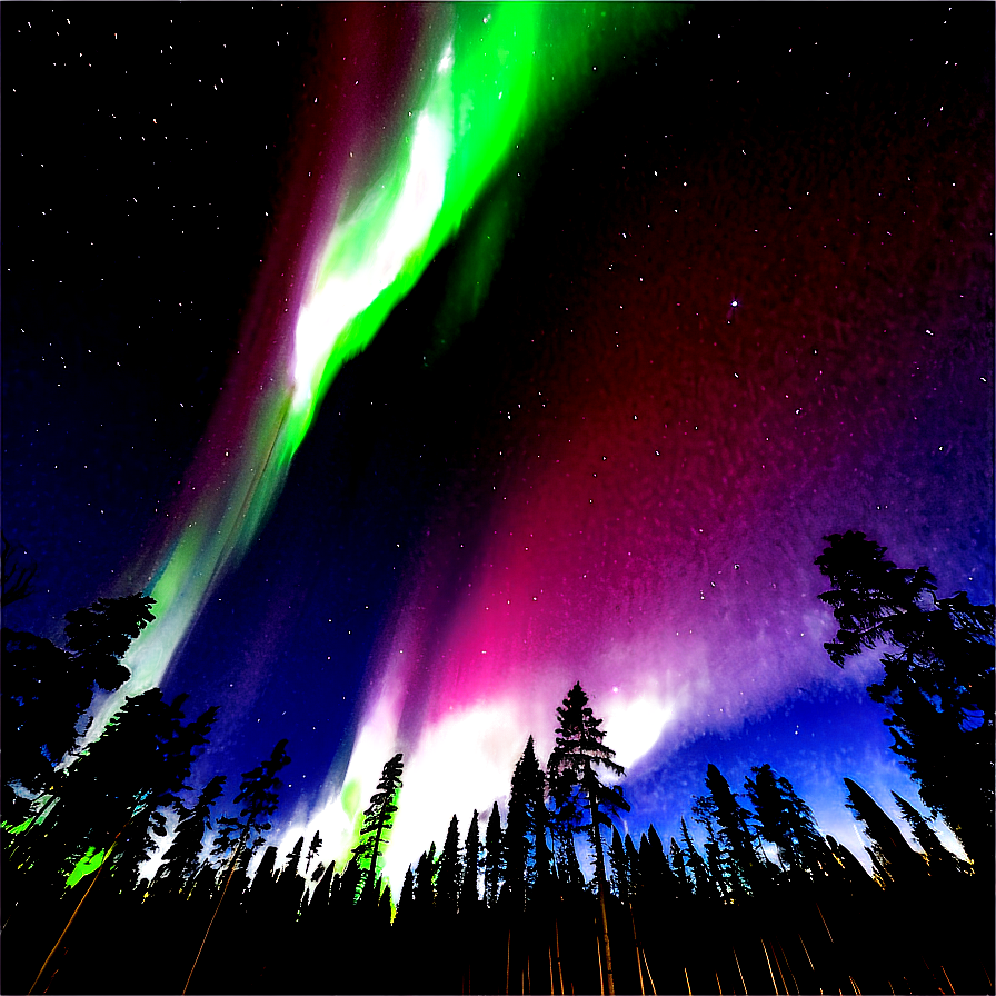 Radiant Aurora Above Treetops Png Ogy21 PNG Image