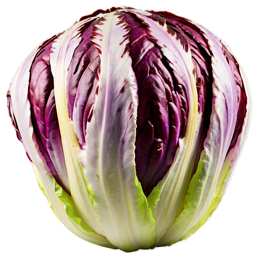 Radicchio Lettuce Png 16 PNG Image